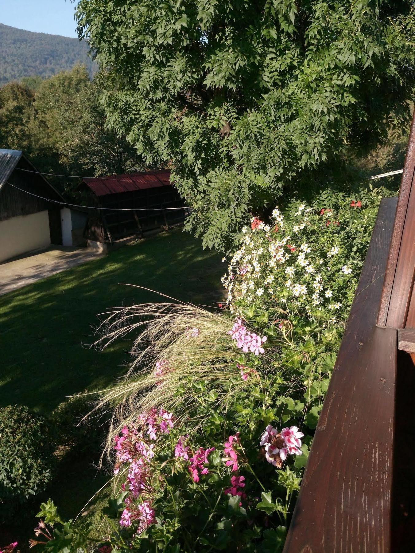 Ferienwohnung House Jelena Selište Drežničko Exterior foto